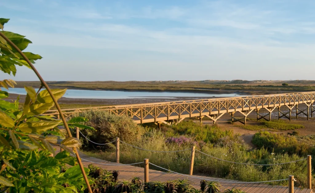 Favourite Restaurants in Villas in Quinta do Lago